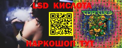 ПСИЛОЦИБИНОВЫЕ ГРИБЫ Ставрополь