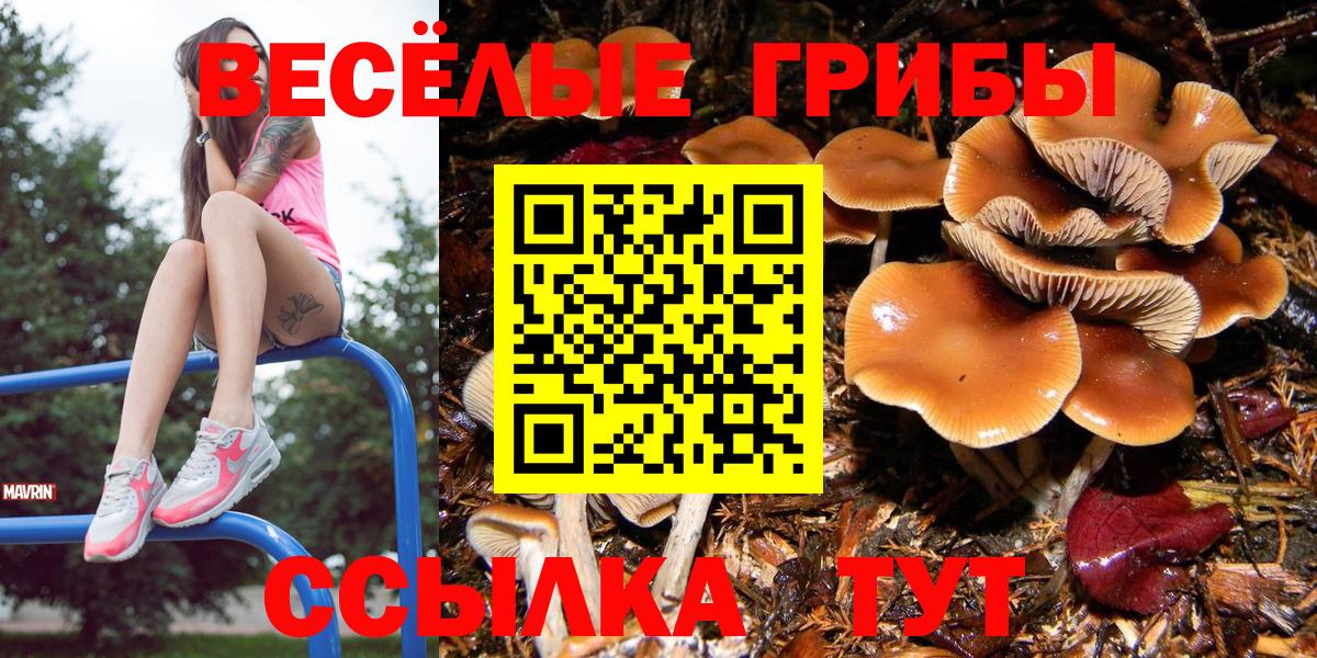 Галлюциногенные грибы GOLDEN TEACHER Нижний Новгород