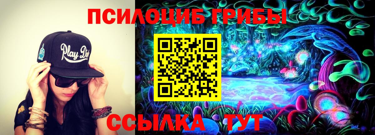 Нижний Новгород  где можно купить   Вход с VPN  Галлюциногенные грибы прущие грибы  Галлюциногенные грибы Psilocybe 